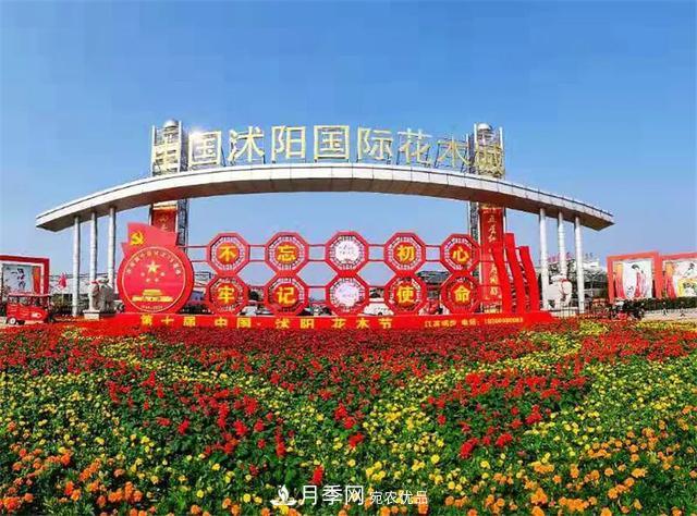 值得收藏！這些全國著名苗木產地你知道幾個？